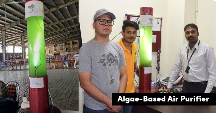 University Students Developed An Algae-Based Air Purifier