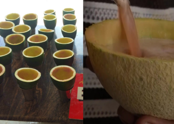 Indian Juice Vendor Goes Viral For Serving Juice In Fruit Shells