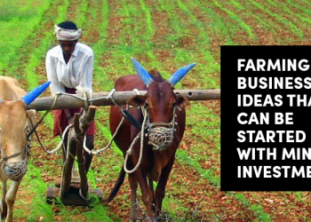 10 Farming Business Ideas That You Can Start With Minimal Investment