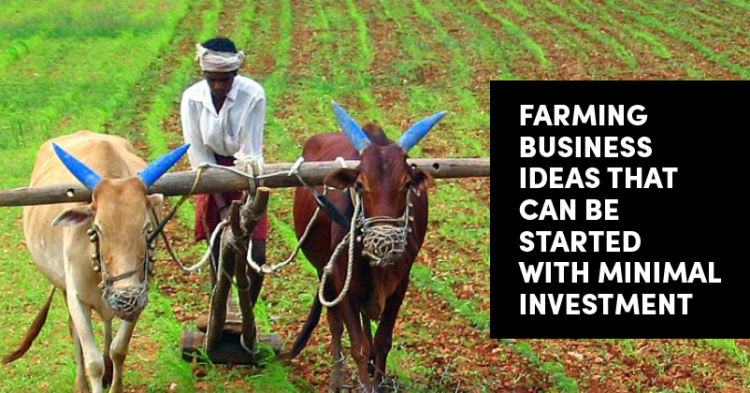 10 Farming Business Ideas That You Can Start With Minimal Investment