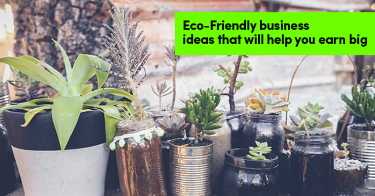 Be Your Own Boss! Start These 7 Eco Friendly Business Ideas & Earn Well