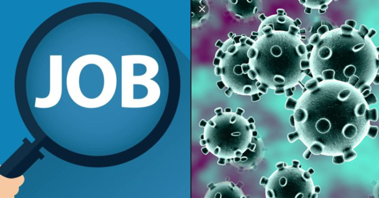 These Indian Startups Have Job Openings During This COVID-19 Pandemic