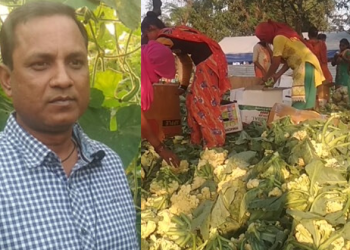 How A Farmer Is Earning Crores Out Of Cauliflowers