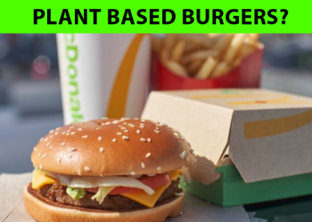 McDonald's To Launch Plant-Based Meat Alternative Burgers & Fries