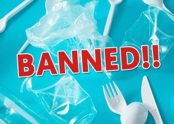 Single-Use Plastic Items May Get Banned From 1st July 2022