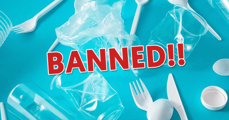 Single-Use Plastic Items May Get Banned From 1st July 2022