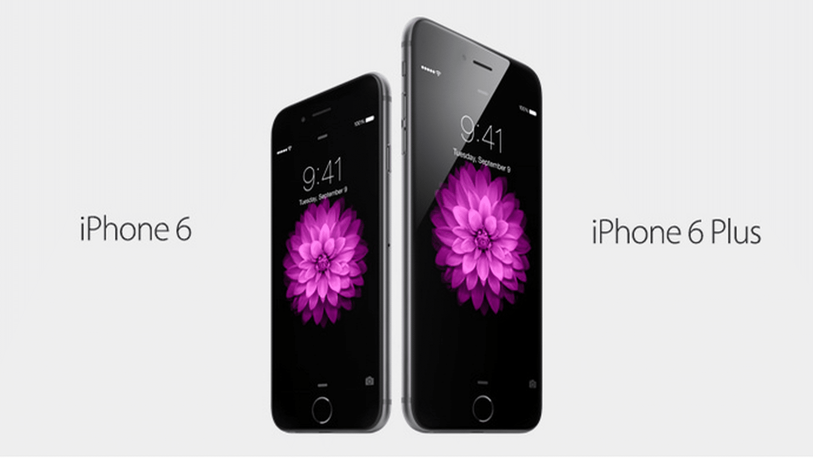 After Launch Of iPhone 13 Series, Here's How Much Old iPhone Versions Cost In India