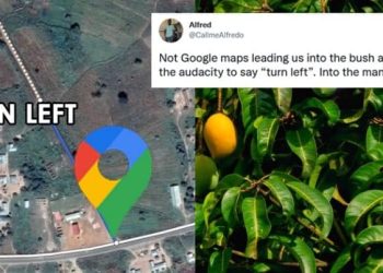 Man Tweets Google Maps Asks Him To Drive Into A Mango Tree, Netizens Go All-Relatable