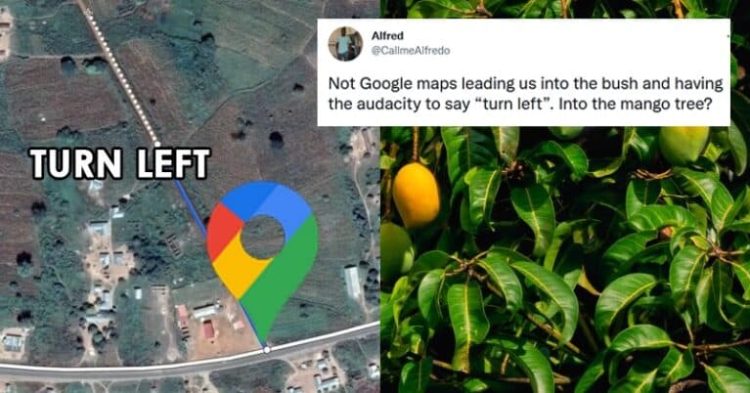 Man Tweets Google Maps Asks Him To Drive Into A Mango Tree, Netizens Go All-Relatable