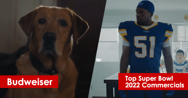 Budweiser To Amazon, Best Super Bowl 2022 Ad Campaigns