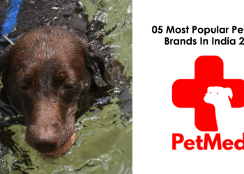 05 Most Popular Pet-Care Brands In India 2022