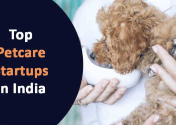 Top 6 Petcare Startups In India 2022