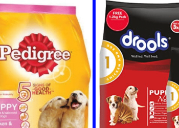 Top 5 Pet Food Brands In India In 2022