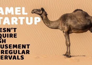 Unicorns To Camels; Learn About The 'Animal Kingdom' Of Startup World.