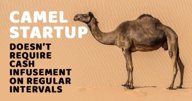 Unicorns To Camels; Learn About The 'Animal Kingdom' Of Startup World.