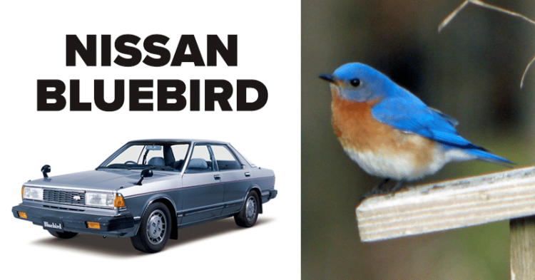 These 8 Car Names Have Actually Been Inspired by Birds