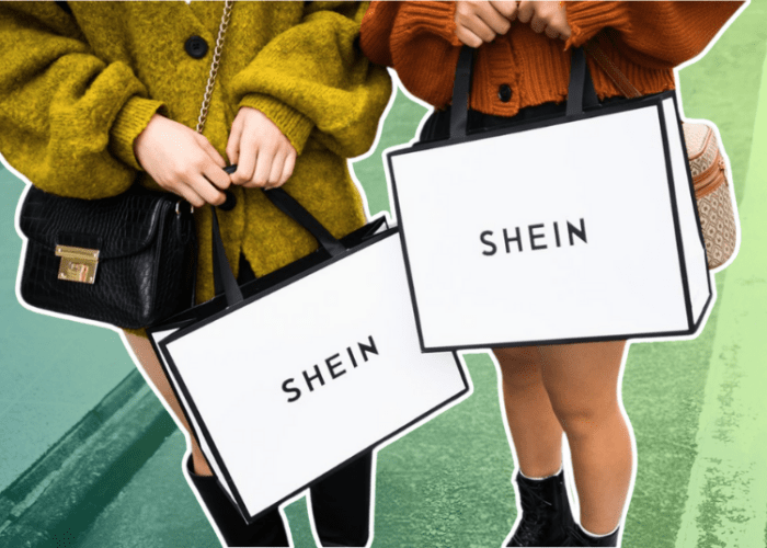 Understanding The Marketing Mix And Marketing Strategy Of Shein