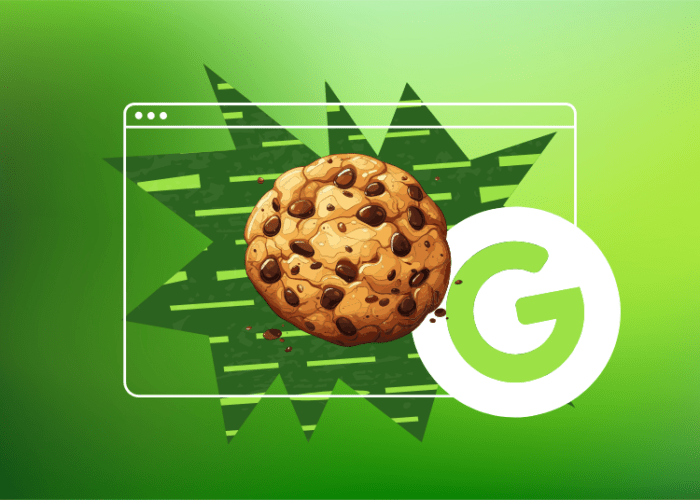 How Google's Third-Party Cookie Phase-Out Impacts Businesses?