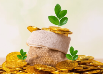 Decoding Small Cap Success: Best Small Cap Fund Choices