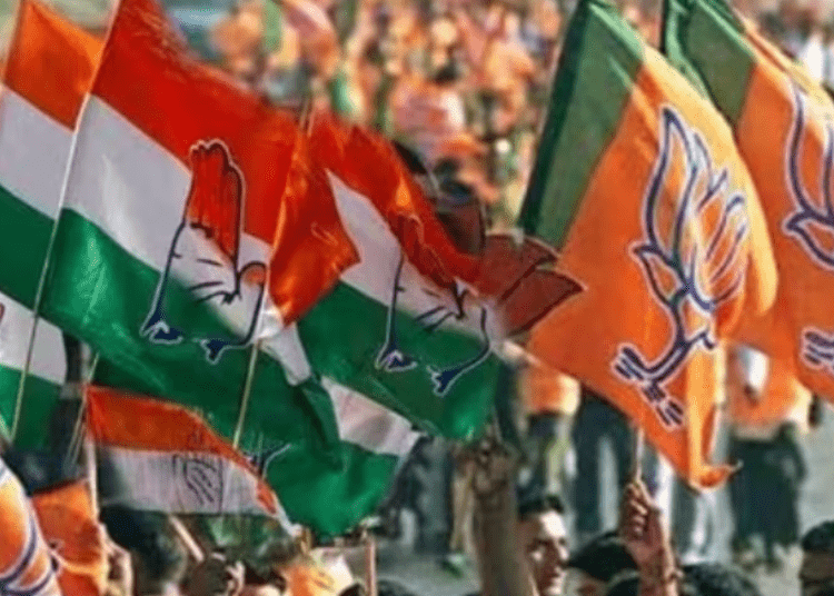 MCD Removes Over 6.12 Lakh Political Ads So Far Ahead Of Lok Sabha Elections