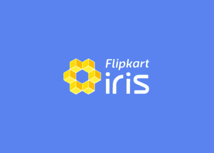 To Empower Brands With Deep Customer Intelligence, Flipkart Launches Insight Platform- Flipkart IRIS