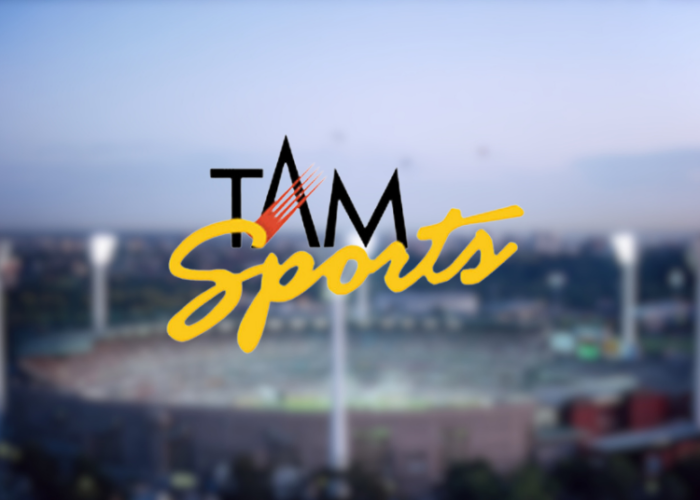 Ecom-Gaming & Food Products Top Categories In IPL Advertising: TAM Sports