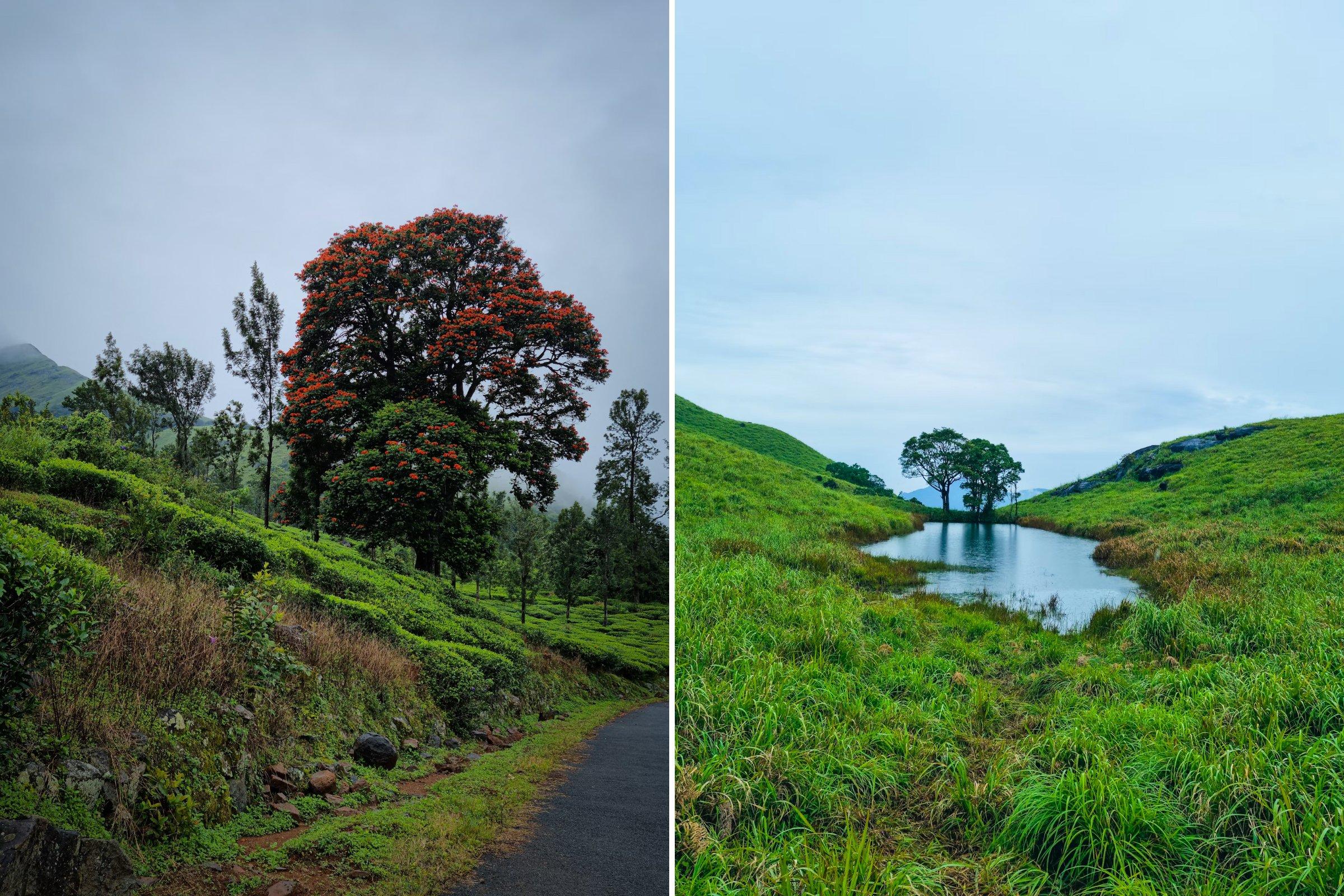 The 8 Best Places to Visit in Wayanad - Chembra Peak