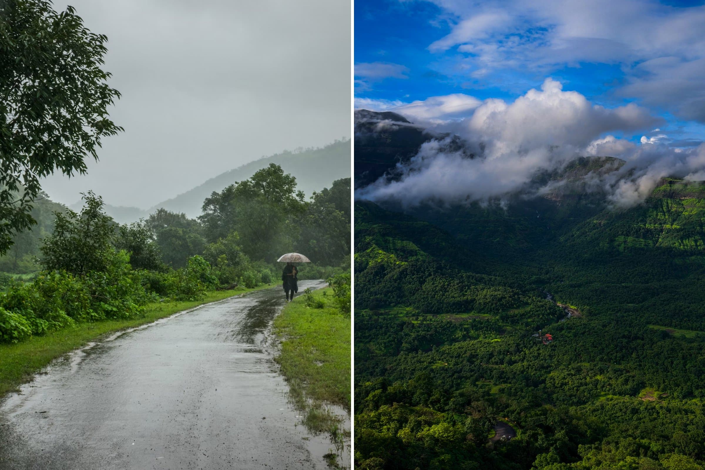 Best Road Trips From Mumbai - Malshej