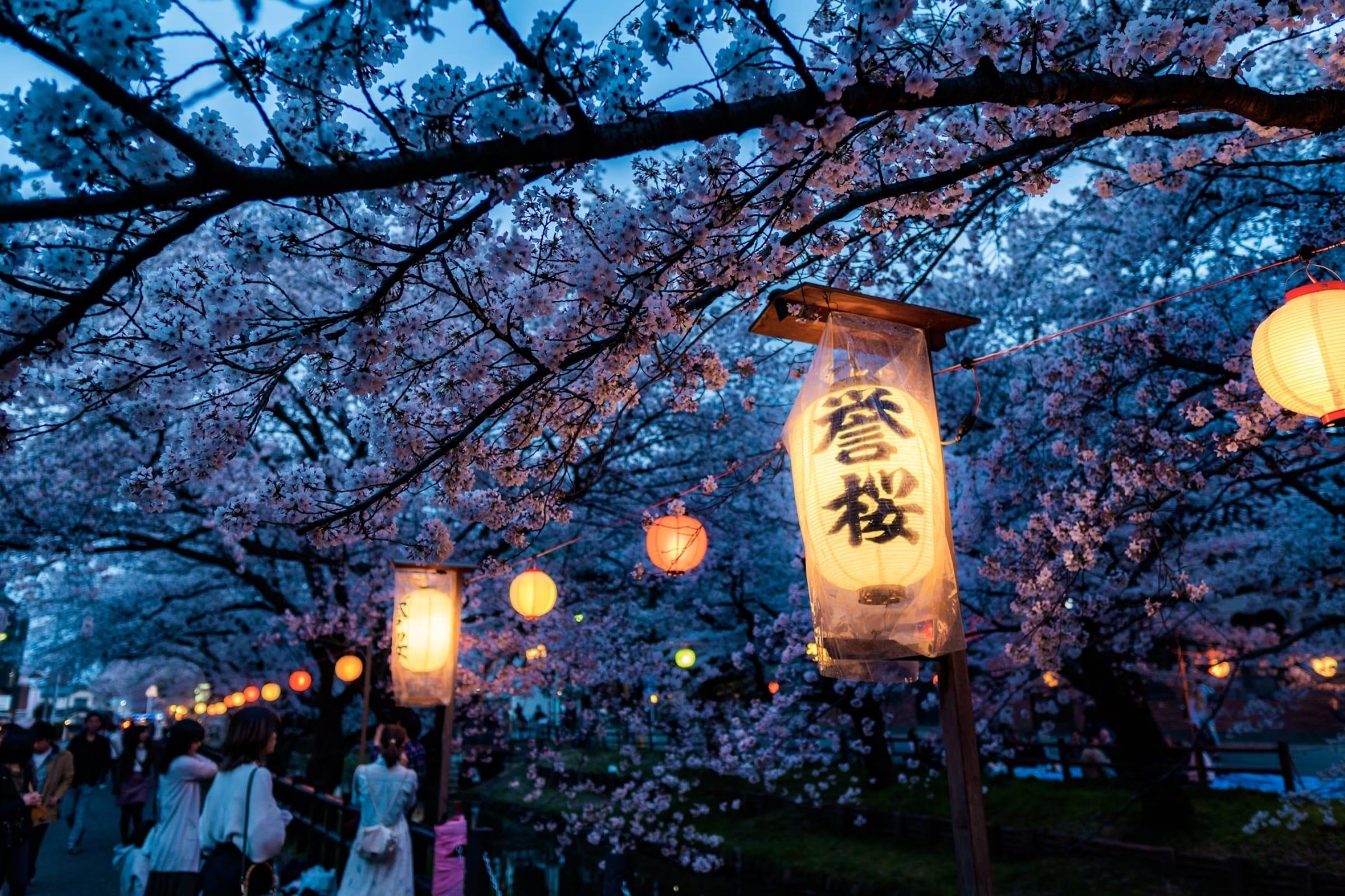 Best Things to Do in Japan