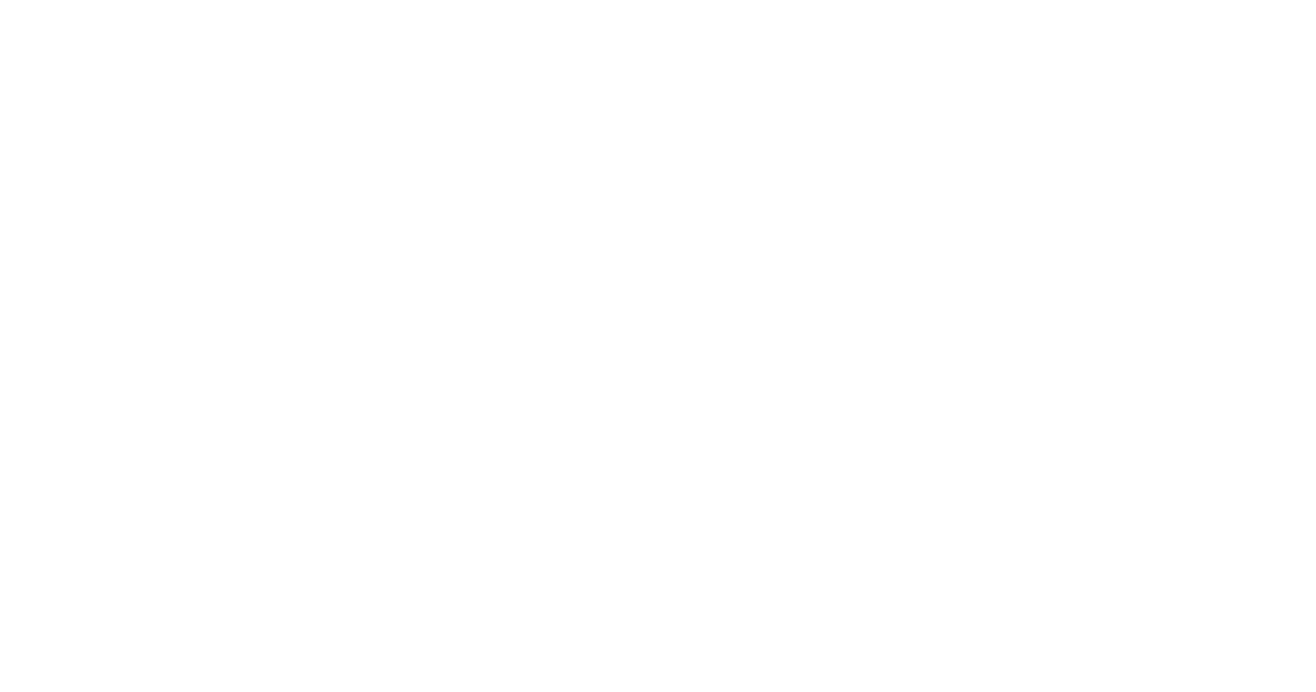 Millennial Achievers 2024 logo (white)