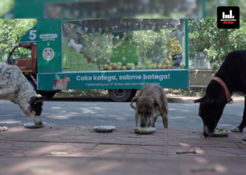 Supertails Takes 'Gully Gully Birthday Bash 2.0' To Bengaluru Streets, Feeds Community Dogs